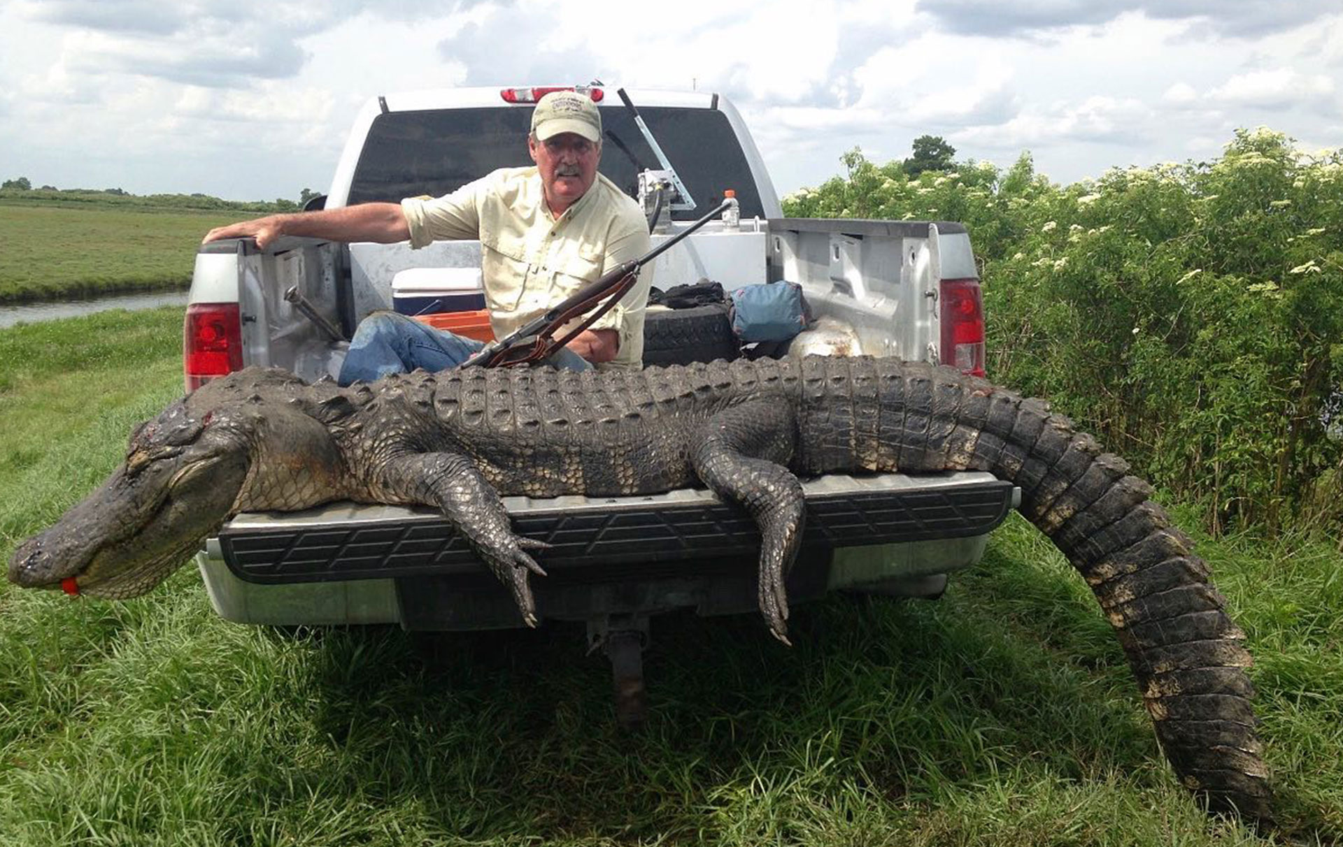 Florida Alligator Hunting