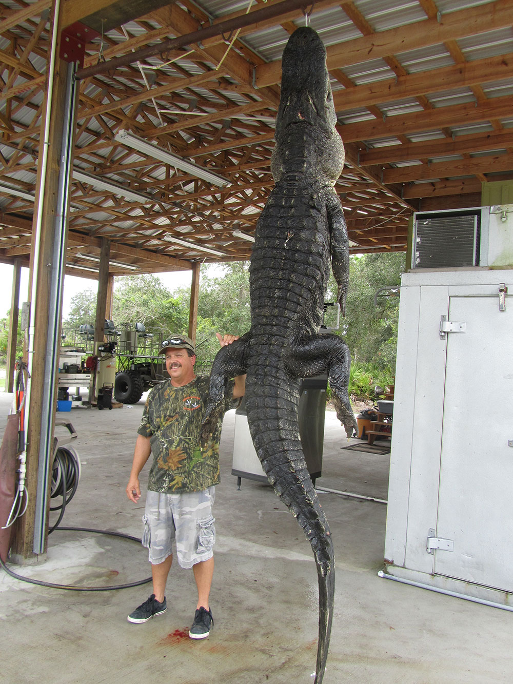 Alligator Hunting Gallery